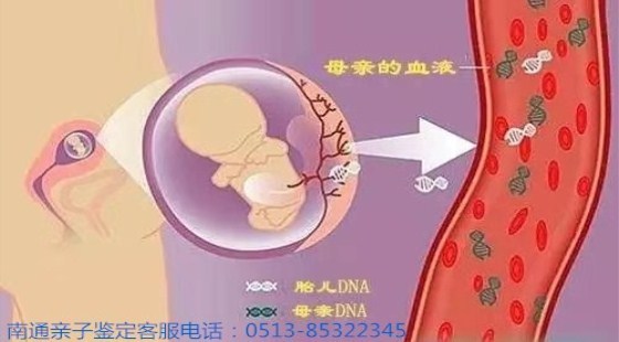 南通口腔拭子亲子鉴定-南通匿名亲子鉴定-南通海门个人亲子鉴定